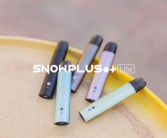 深入雪加之味：品牌的自律与突破促进发展