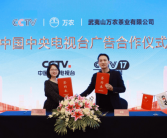 万农茶业荣登央视展播，武夷岩茶绽放品牌力量 