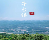 酱香传奇：怀锦酒业的百年匠心与创新之旅 